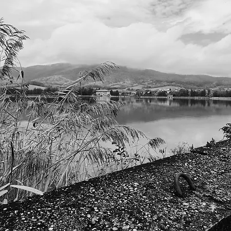 בית הארחה Flipper