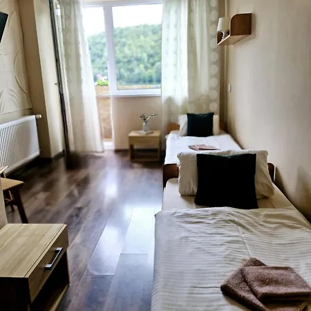 Flipper Guest house *