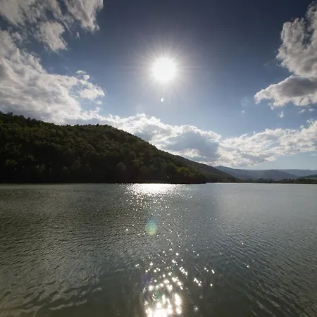 בית הארחה Flipper